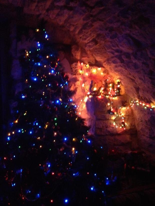 The Christmas tree & Nativity Scene at my home