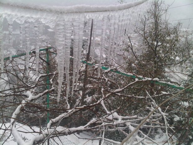 Toula - North Lebanon