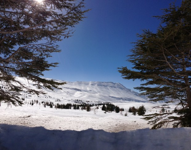 North Lebanon Mountains Cedars - 7