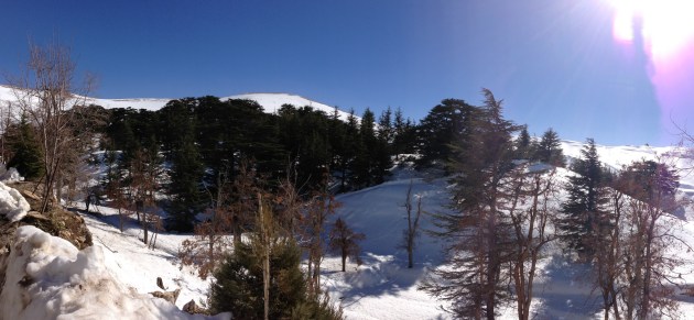 North Lebanon Mountains Cedars - 9