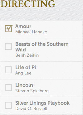 Best Director Academy Awards Oscars 2013