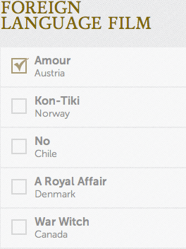 Foreign Language Film Academy Awards Oscars 2013