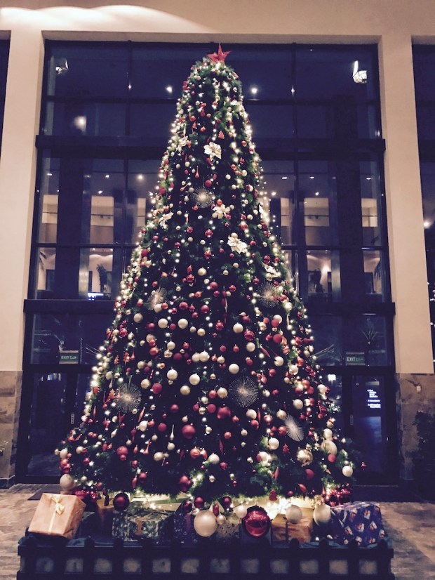 aqaba-christmas-decoration